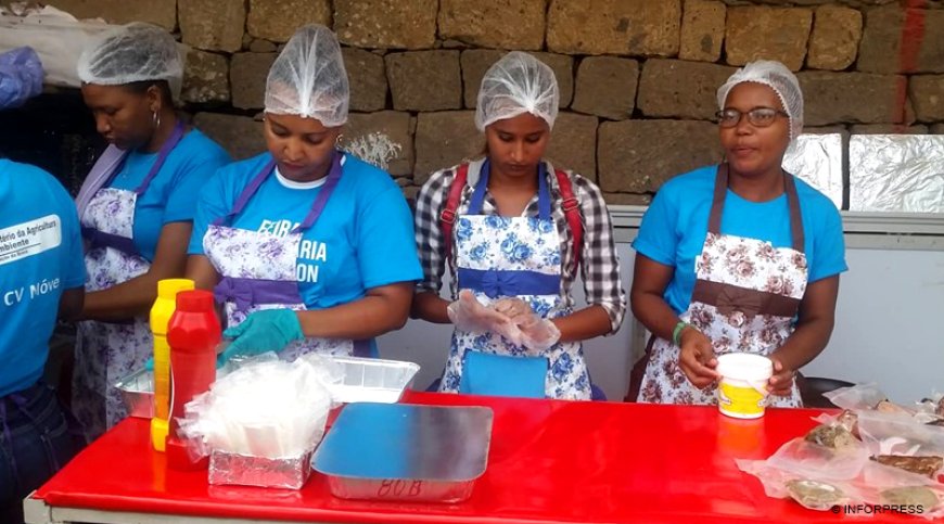 Brava/Festas do Município: Jovens conhecem os mecanismos de inserção laboral e de questão de género na formação profissional