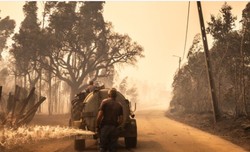 Autarca de Sever do Vouga fala no "pior incêndio de sempre". Por todo o país, há cinco mil bombeiros empenhados no combate às dezenas de fogos EM DIRETO Última atualização em 16 setembro 2024 às 08h15 Autarca de Sever do Vouga fala no "pior incêndio de sempre". Por todo o país, há cinco mil bombeiros empenhados no combate às dezenas de fogos