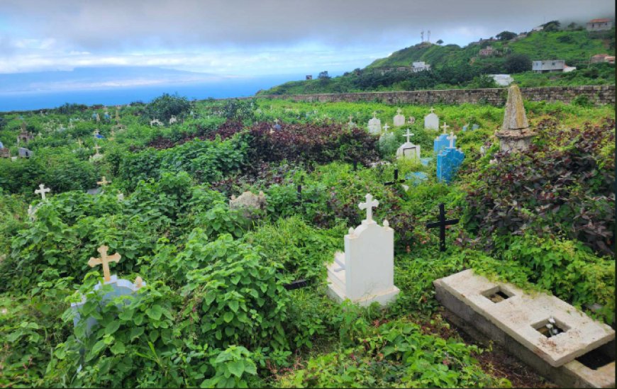 São João Baptista Cemetery calls for cleaning and more attention