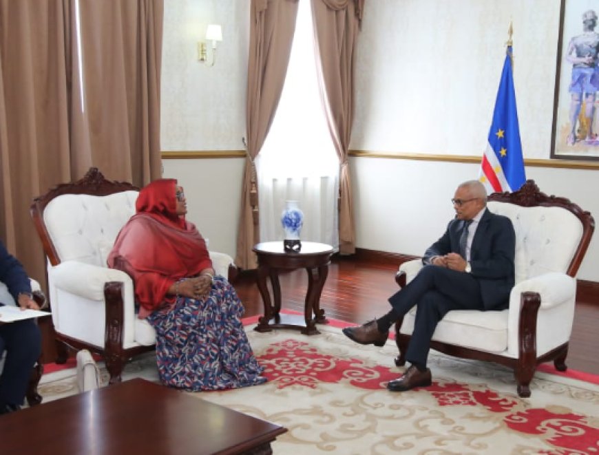 Djibouti asks Cape Verde to support its candidacy for the leadership of the African Union Commission