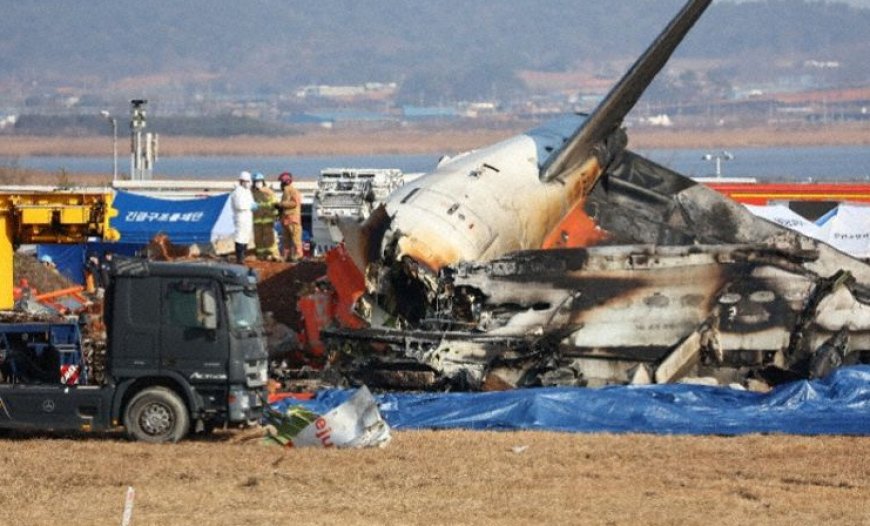 Accident: Jeju B738 at Muan on Dec 29, 2024, landing with landing gear retracted and overshooting the runway